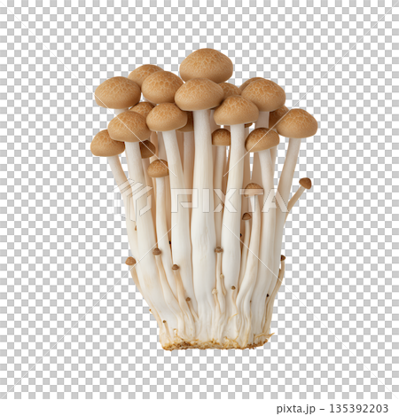 棕色紅菇,整束 棕色紅菇,整束 135392203