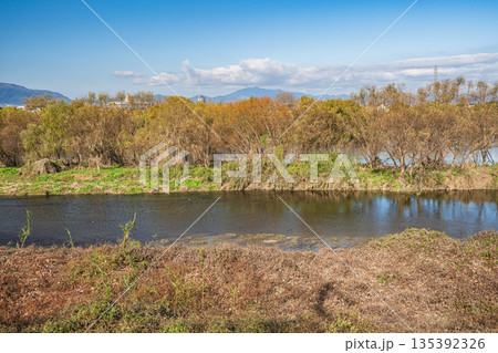冬の鴨川 桂川との合流地点 京都市 冬の鴨川 桂川との合流地点 京都市 135392326