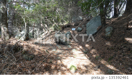 虚空蔵山の登山道　長野県飯田市 135392461