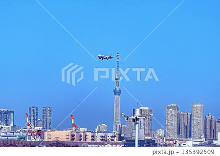 羽田空港から見たスカイツリー 羽田空港から見たスカイツリー 135392509