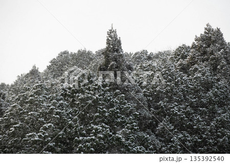 山奥の雪景色 135392540