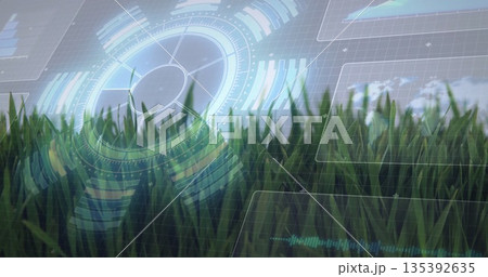 Displaying green blades in field, overlaying radial indicator, charts, map, waveform and hex grid Displaying green blades in field, overlaying radial indicator, charts, map, waveform and hex grid 135392635