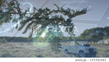 Showing fern tree branch backlit by sun in field, with white offroad vehicle and digital overlays 135392881