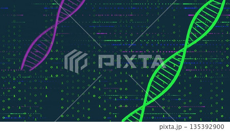 Displaying green DNA helix rotating in virtual space, with purple helix and binary code, copy space Displaying green DNA helix rotating in virtual space, with purple helix and binary code, copy space 135392900