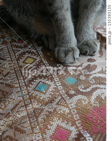 猫のちょこん前足on豪華ソンケット生地インドネシア伝統織物クローズアップ 猫のちょこん前足on豪華ソンケット生地インドネシア伝統織物クローズアップ 135393135
