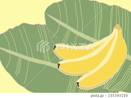 カード　バナナとリーフ 135393150