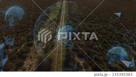 Hovering central wireframe globe above rural shrubland, with dirt track, shrubs, network arrows Hovering central wireframe globe above rural shrubland, with dirt track, shrubs, network arrows 135393363