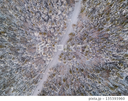 Aerial view of the road in the winter forest with high pine or spruce trees covered by snow. Driving in winter. 135393960