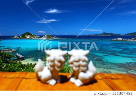 沖縄の美しい海を見つめるシーサーカップル 135394452