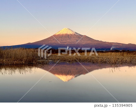 夕陽を浴びる富士山 135394905