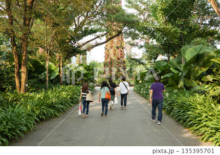 シンガポールの町中にある植物園の園内を散策する観光客の後ろ姿 135395701