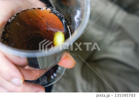 コップに注がれた炭酸飲料の中に落ちた枝豆 コップに注がれた炭酸飲料の中に落ちた枝豆 135395783