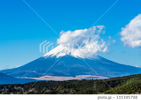 三島スカイウォークからの富士山【静岡県三島市】 135395798