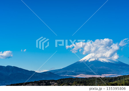 三島スカイウォークからの富士山【静岡県三島市】 三島スカイウォークからの富士山【静岡県三島市】 135395806
