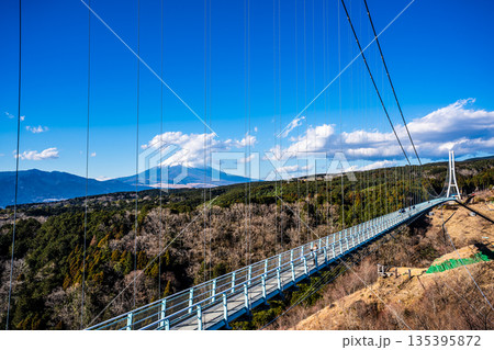 三島スカイウォークと富士山【静岡県三島市】 三島スカイウォークと富士山【静岡県三島市】 135395872