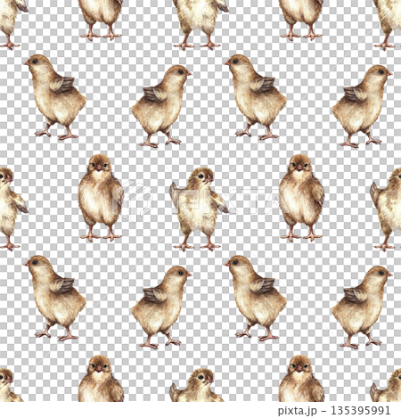 Seamless pattern with cute little chickens. Hand-drawn watercolor illustration. Perfect for farm projects, Easter, textiles, packaging and labels, wallpaper, and more 135395991