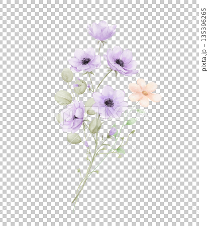 Watercolour bouquet of purple anemones, daisy and eucalyptus leaves isolated on white background, springtime flowers 135396265