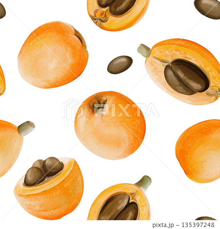 Seamless pattern of medlars. Exotic orange round fruits. Large brown seeds. Autumn harvest in the garden. Watercolor illustration. Hand-drawn. Isolated from the background. High quality illustration 135397248