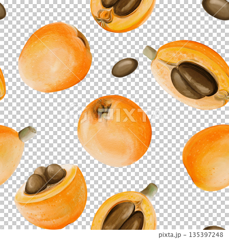 Seamless pattern of medlars. Exotic orange round fruits. Large brown seeds. Autumn harvest in the garden. Watercolor illustration. Hand-drawn. Isolated from the background. High quality illustration 135397248
