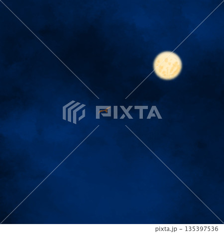 水彩風　夜空と鳥の風景のイラスト 135397536