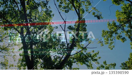 Reaching branches in woods, with red scan bar, green Decoding, white lines, transmission, sun flare Reaching branches in woods, with red scan bar, green Decoding, white lines, transmission, sun flare 135398590