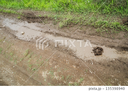 various various 135398940