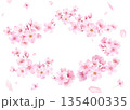 桜の花と花びらの水彩イラストでデザインした、緩やかな楕円形フレーム 透過背景 桜の花と花びらの水彩イラストでデザインした、緩やかな楕円形フレーム 透過背景 135400335