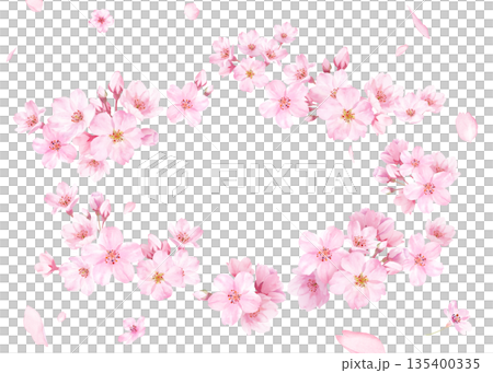 桜の花と花びらの水彩イラストでデザインした、緩やかな楕円形フレーム 透過背景 135400335