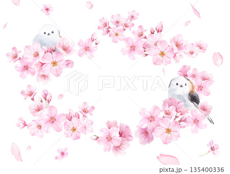 桜の花と花びらの水彩イラストでデザインした、緩やかな楕円形フレーム 透過背景 135400336