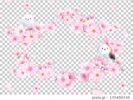 桜の花と花びらの水彩イラストでデザインした、緩やかな楕円形フレーム 透過背景 135400336