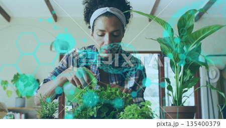 Watering woman in plaid shirt holding sprayer among potted herbs in kitchen, with digital overlay Watering woman in plaid shirt holding sprayer among potted herbs in kitchen, with digital overlay 135400379