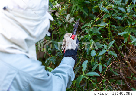 庭の手入れ 植木屋さん 庭の手入れ 植木屋さん 135401095