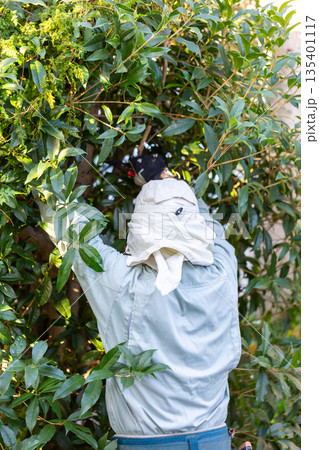 庭の手入れ 植木屋さん 庭の手入れ 植木屋さん 135401117