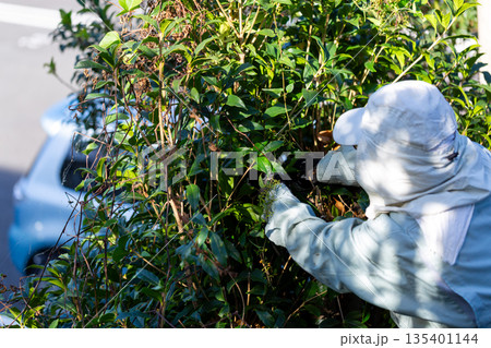 庭の手入れ 植木屋さん 庭の手入れ 植木屋さん 135401144
