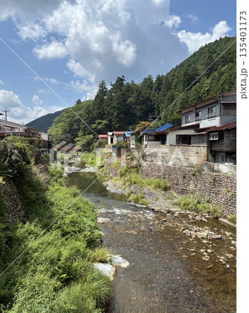 田舎の夏 田舎の夏 135401173