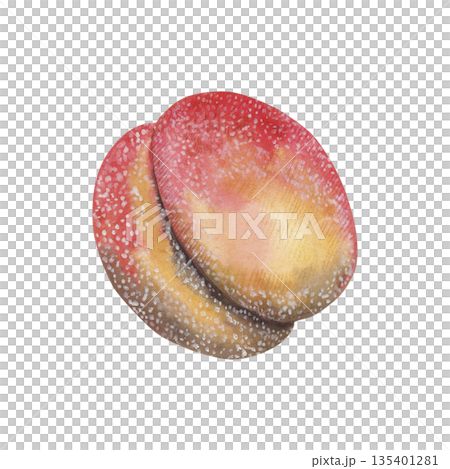Watercolor illustration of traditional peach-shaped cookies with sugar coating. Hand-drawn sweet biscuit dessert resembling ripe peach, homemade pastry treat, festive confection. For packaging design Watercolor illustration of traditional peach-shaped cookies with sugar coating. Hand-drawn sweet biscuit dessert resembling ripe peach, homemade pastry treat, festive confection. For packaging design 135401281