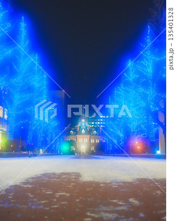 北海道の絶景 冬の道庁前イチョウ並木 アカプライルミネーション 135401328
