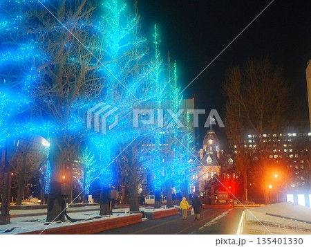北海道の絶景 冬の道庁前イチョウ並木 アカプライルミネーション 135401330