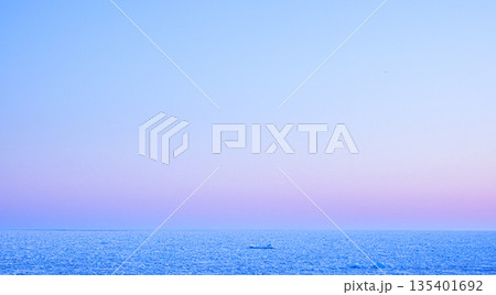 北海道網走市能取岬近くの海岸に接岸した朝焼けの中の流氷 135401692