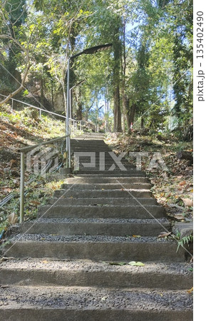 Concrete stairway leading uphill through natural mountain path Concrete stairway leading uphill through natural mountain path 135402490