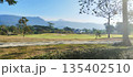 Golf course in morning light with beautiful scenic view 135402510