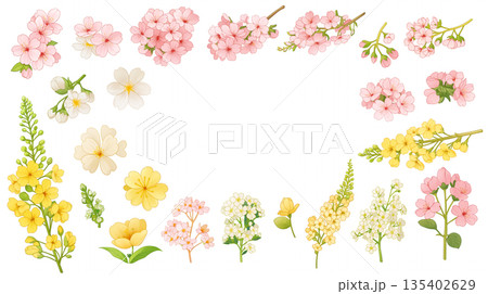 春らしい花々で彩る丸型フレーム素材 ナチュラル 背景イラスト シンプル装飾 花飾り デザインパーツ  135402629