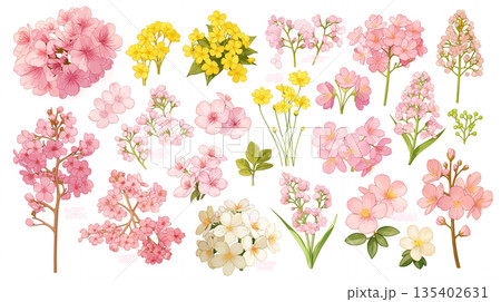 春の花フレームイラストセット 余白スペースあり 装飾素材 背景テンプレート 上品 優美 柔らかい 135402631