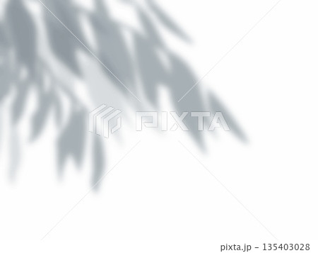 木の枝と葉の影が壁に映る背景素材 135403028