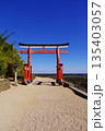 宮崎県　青島神社の鳥居と海景色 135403057