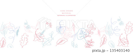 線画。線画タッチの植物イラスト。夏と春に使える植物ベクターフレーム。 線画。線画タッチの植物イラスト。夏と春に使える植物ベクターフレーム。 135403140