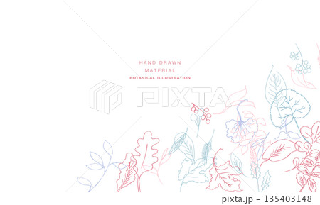 線画。線画タッチの植物イラスト。夏と春に使える植物ベクターフレーム。 135403148