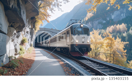 Modern Train Emerging from Mountain Tunnel in Scenic Autumn Forest Landscape Modern Train Emerging from Mountain Tunnel in Scenic Autumn Forest Landscape 135403155