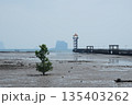 The outstanding mangrove tree grows on the coast beside the concrete bridge into the sea with clear sky and skyline in background 135403262