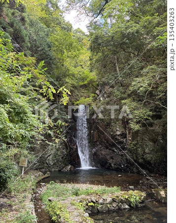登山の途中で小さな滝壺を見つけて撮影 登山の途中で小さな滝壺を見つけて撮影 135403263